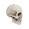 Decoración Especial de Remate Colgante de Pared de Media Calavera Adorno para el Hogar al Aire Libre de Halloween Estatua de Cabeza de Fantasma Accesorio de Ambiente