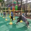 Equipo de Entrenamiento de Pista para Drones, Accesorios de Juego de Vallas y Túneles para Niños, Integración Sensorial de Jardín de Infancia, A partir de 3 Piezas