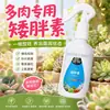 Estimulante de Crescimento Universal para Plantas Baixas e Gordas, Suculentas e Outras Plantas, Realçando Cor, Ganho de Peso e Crescimento Sem Diluição, Solução Nutritiva, Excelente Estimulante de Botões, Atacado