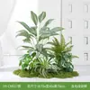 Plantas Verdes Artificiales al por Mayor Paisajismo Interior Plantas Falsas de Gama Alta Decoración de Paisaje Grupos de Musgo Flores Biónicas Decoración Suave Luz