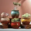 Nuevo Maceta de Pulgar con Gradiente del Fabricante Maceta para Suculentas Cerámica Gres Retro Planta en Maceta Creativa Envío Gratis Liquidación Mayorista de Fábrica