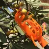 Herramienta para recolectar bayas de fruta de altura, recogedor con vara telescópica, también puede recoger nísperos, melocotones, ciruelas, azufaifos, caquis y otros.