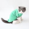 Roupas Novas de Gato para Primavera e Verão, Camisetas Listradas para Cachorro, Roupas para Gato American Shorthair, Camisetas Básicas para Pet, Mangas Curtas no Atacado