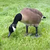 Señuelo de Caza para Ganso Canadiense 1:1 Adorno de Escena de Agua Simulada Plástico Flocado Manualidad