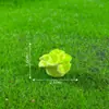 Figura de conejito temática de granja creativa para paisaje en miniatura, accesorio de decoración de paisajismo DIY para jardinería, pequeño adorno de escritorio