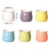 Vasos de Cerâmica para Flores, Vasos para Suculentas, Vasos Quadrados Criativos de Desenho Animado com Expressão Fofa Transfronteiriços para Mesa, Vasos de Cerâmica para Flores