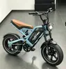 Bicicleta Eléctrica de Litio Fat-Tire 16 pulgadas Brasil Doble Freno de Disco Asiento Ancho Motor Potencia Actualizable Tres Modos de Conducción Eléctrica