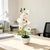 Bacia nova onda transfronteiriça 7 orquídeas Phalaenopsis vaso de flores simulação paisagem fotografia de casamento decoração de fotos flores artificiais pequenas plantas em vaso