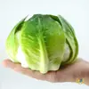 Modelos de Frutas y Verduras de Imitación para Montaje de Escenas, Decoraciones de Cocina, Accesorios de Fotografía y Decoración Suave Pastoral