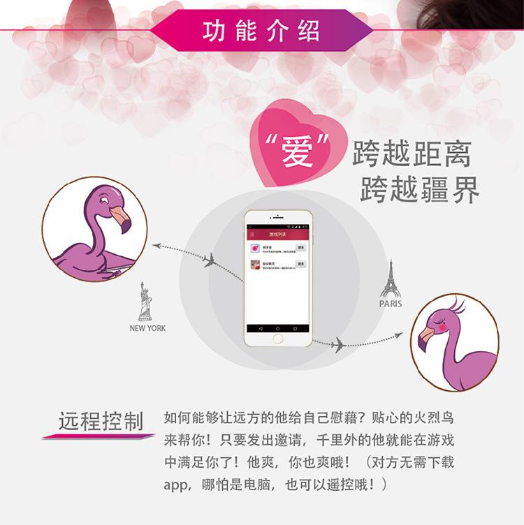 火焰鸟AI_05.jpg