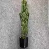 Cactus Artificial Columna Pu Planta Verde Grande de Pie Paisajismo Desértico Planta en Maceta