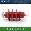 FHY5C-10C/10kv compuesto CA perforación hueco externo óxido de zinc pararrayos hardware de protección contra rayos protección de línea