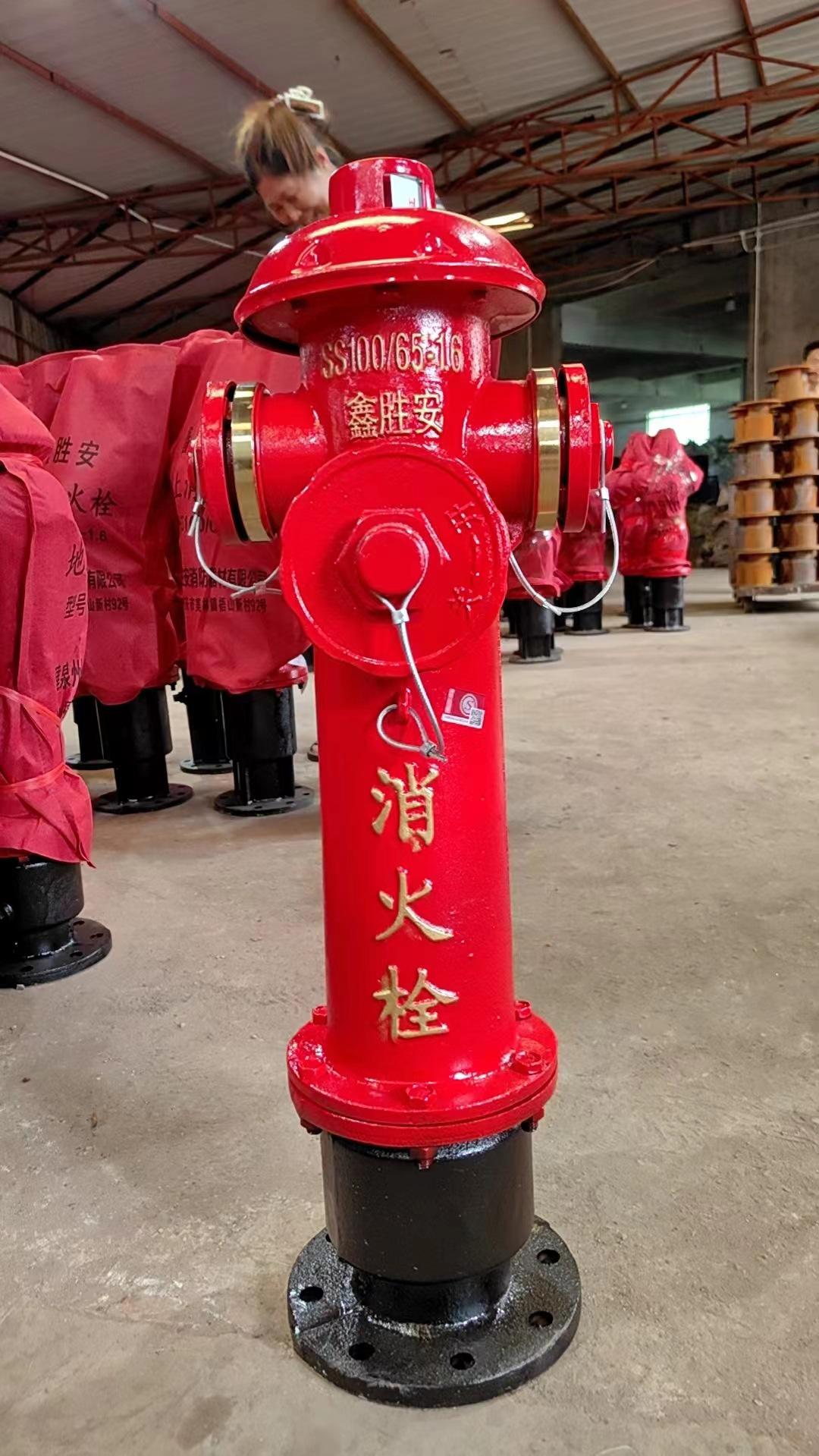 主图