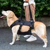 Cinto Auxiliar de Passeio para Cães Idosos, Cães com Deficiência, Cães Idosos, Assistência para Patas Dianteiras e Traseiras para Cães ao Subir e Descer Escadas
