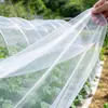 Mosquitero Personalizado Mosquitero Encriptado Malla de Protección contra Insectos para Invernadero Agrícola Árboles Frutales Verduras Cubierta de Protección para Plántulas de Jardín