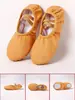 Zapatos de baile al por mayor color camello con forma de pata de gato para adultos, zapatos de baile de cuero de suela blanda, zapatos de ballet de baile antideslizantes transfronterizos