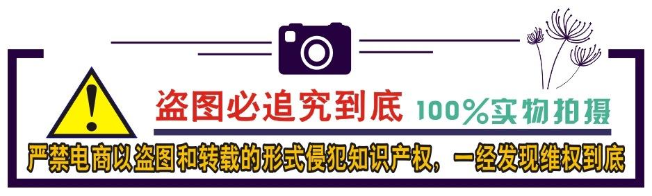盗图必究2