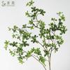 Planta verde de simulación de alta gama, hoja de Elemene de una sola rama, reloj colgante, hoja de Ma borracho, decoración del hogar, flores falsas, accesorios de fotografía, paisajismo