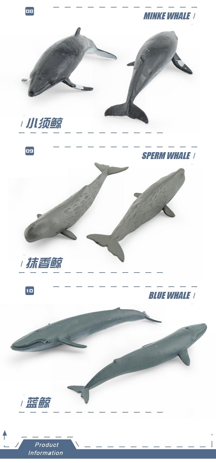 详情图片_099.jpg