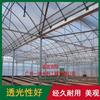 Invernaderos de luz solar para frutas y verduras, Invernaderos agrícolas para frutas y verduras, Plantas suculentas, Estructuras de marco de invernadero de plástico inteligente