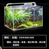 Aquário de Vidro Ultra-Branco Espesso Retangular Pequeno e Grande Paisagismo de Sala de Estar Aquário Plantas Aquáticas Tanque de Tartaruga Mai Taibao