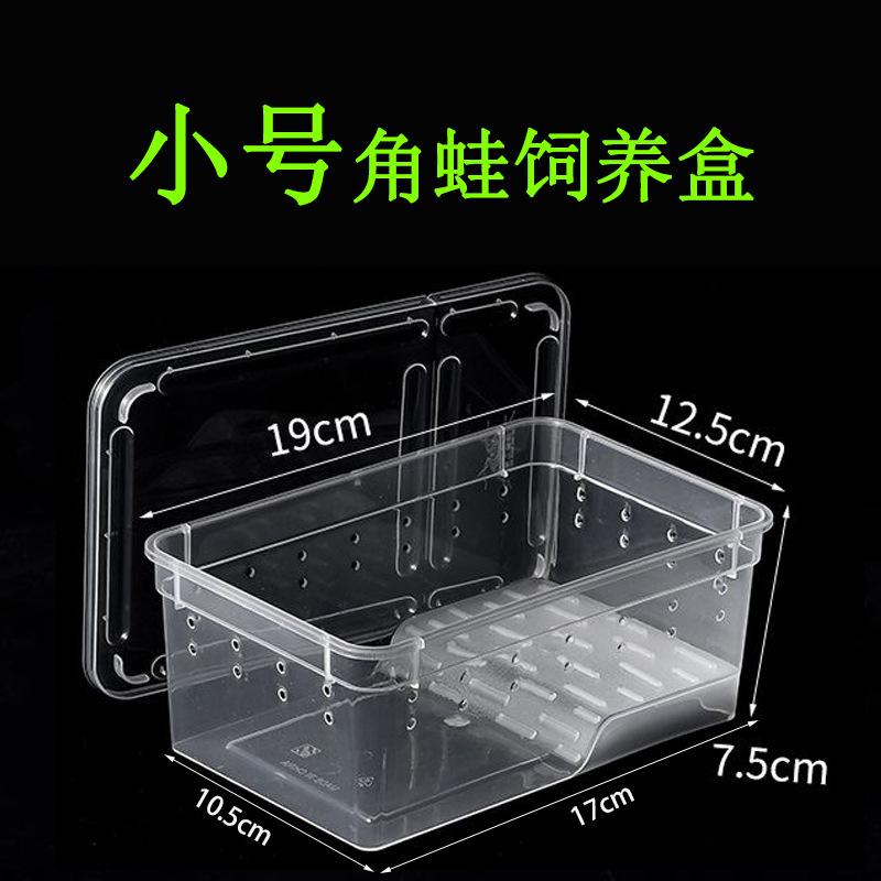 小号透白带晒台