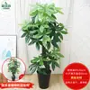 Qin Ye Rong Planta Fotográfica en Maceta Hotel Planta Verde Falsa Biónica Decoración de Sala de Estar Árbol Falso de Pie Flor Falsa Puerta