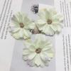 Simulación Cabeza de crisantemo Mori DIY Pared de flores para boda Pintura al óleo decorativa Flor estrella Flor Gesang Flor de simulación Venta al por mayor de flores