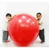 Jia Qiu Hao Bola Grande Dragon Ball 120CM Treinamento de Integração Sensorial Infantil Bola Grande de 1 Metro 95/100CM Fitness