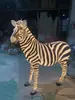 Luces de Paisaje Ultra Brillantes para Exteriores, Luces con Forma de Animal de Fibra de Vidrio Simulada, Serie de Animales para Exteriores: Ciervo, Camello, Caballo
