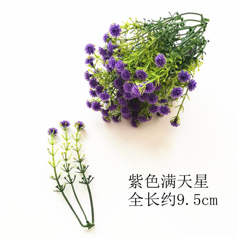 【紫色】.jpg