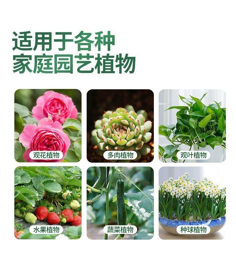 微信图片_20241226165324.jpg