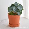 Maceta de cerámica roja al por mayor de fábrica, maceta de barro con bandeja, maceta verde para plantas suculentas, bonsái, jardinería en balcón, dispositivo de flores transpirable.