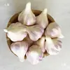 Modelo de Cabeza de Ajo Artificial de Espuma Falsa Ajo Decoración de Cocina Accesorios de Exhibición Juguete para Niños Sellado al Aire Caliente de Alta Frecuencia