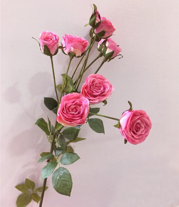 骑士抹月玫瑰 (7)