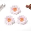 Flor de Ciruelo Simulada de 5.5 cm Cabezal DIY Corona Accesorios de Tela Accesorios para el Cabello Accesorios para Ropa Props de Fotografía Flor Decoración del Hogar
