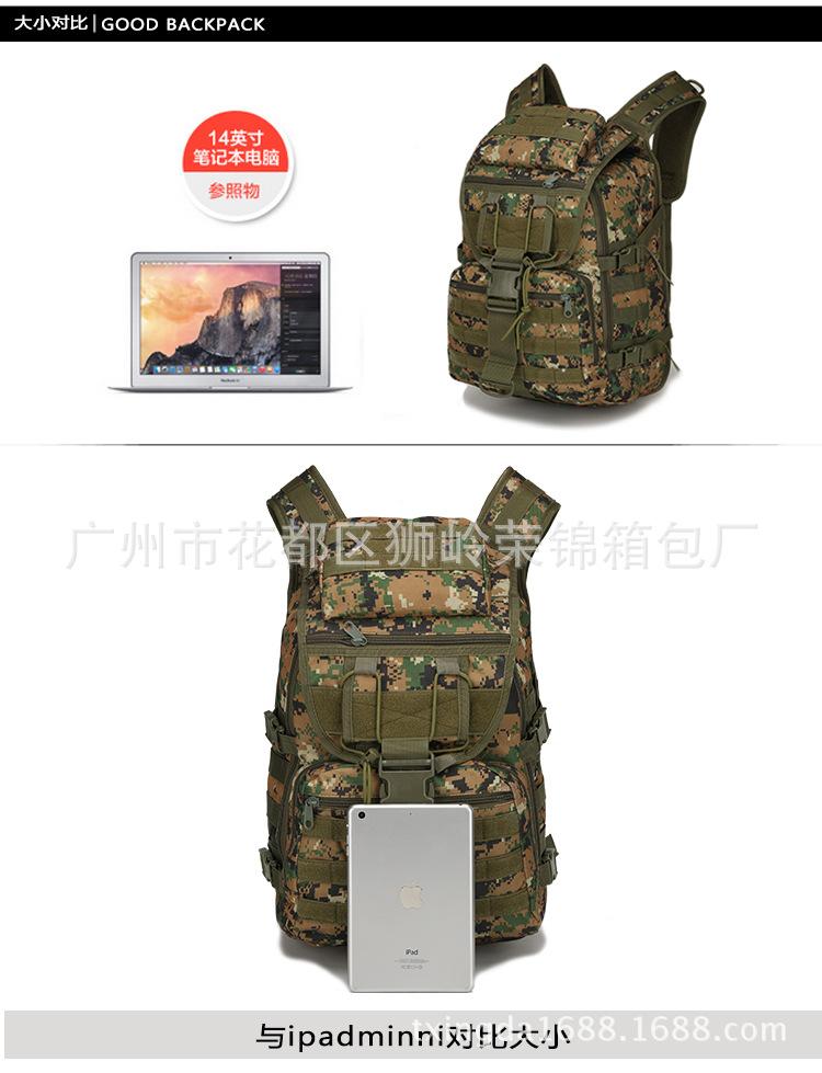详情-_13