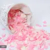 Quarto de Casamento Confissão de Noivado Decoração Romântica Suprimentos Rosa de Casamento Pétalas Vermelhas Falsas de Tecido para Espalhar