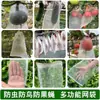 Cubierta transpirable de calabaza amarga anti-pájaros bolsa de malla para pepino bolsa a prueba de insectos gasa Tai Bao bolsa densificadora para melón y fruta pepino amarillo