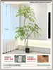 Planta Verde Artificial Nandina Sala de Estar Interior Mueble de TV Sensación Planta Verde Biónica Árbol de Ambiente en Maceta de Piso