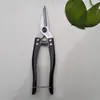 Tesoura para Frutas de Aço Inoxidável, Tesoura para Colher Frutas, Tesoura para Laranjas, Tesoura para Cítricos, Tesoura para Frutas e Legumes, Tesoura de Poda para Jardinagem