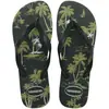 Chinelos Havaianas (masculino) Aloha 39/0 Verde Oliva