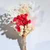 Mini Ramo de Flores Secas Decoración de Regalo Navideño Flor Eterna Recuerdo Ramo Pequeño Fresco Fabricante de Yunnan Venta al por Mayor