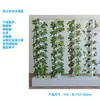 Equipamentos para Cultivo Sem Solo, Plantio de Vegetais em Coluna para Varanda Residencial, Vegetais Hidropônicos Indoor, Agricultura Vertical Hidropônica