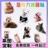 Adesivos Magnéticos Exclusivos Personalizados para Pets, Fotos de Gato e Cachorro em Acrílico, Avatares, Ímãs de Geladeira Decorativos Criativos Personalizados