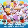 Paisaje de Acuario Conchas Naturales Caracoles Conchas de Cangrejo Ermitaño Tanque Pequeño para Peces Set de Decoración Adornos Hecho a Mano DIY Sustrato