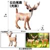 Crianças Simulação Veado-de-cauda-branca Animal Alce Veado Sika Modelo Ornamentos Sólidos Conjunto Brinquedos de Natal