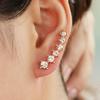 Pendientes elegantes con borlas de diamantes de imitación de aguja plateada, estilo europeo y americano, con diamantes de alta calidad para mujer.