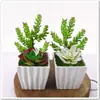 Venta al por mayor de fábrica planta suculenta artificial mini planta mini Saussurea Flor de Loto Flor de Loto Decoración para el hogar boda Planta verde de PVC