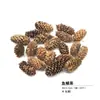 Virutas de Madera Cáscara de Nuez Material Planta Taibao Especimen Piña de Pino Paquete de Materiales de Flores Secas DIY Chen Mai Hecho a Mano Bellota Seca Marco de Fotos